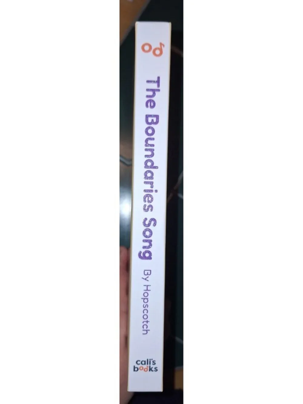 The Boundaries Song Rechargeable Headphone Accessible